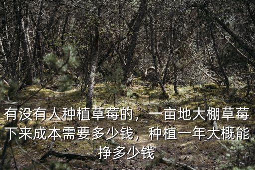 有沒有人種植草莓的，一畝地大棚草莓下來成本需要多少錢，種植一年大概能掙多少錢