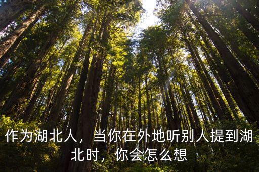 湖北人說(shuō)您怎么說(shuō),一些湖北人為什么說(shuō)