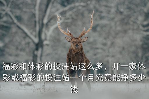 福彩和體彩的投注站這么多，開一家體彩或福彩的投注站一個月究竟能掙多少錢