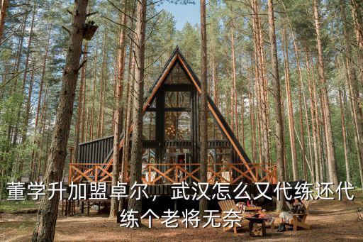 董學升加盟卓爾，武漢怎么又代練還代練個老將無奈