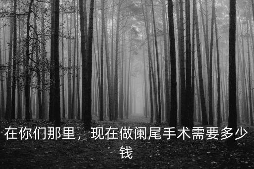 在你們那里，現在做闌尾手術需要多少錢