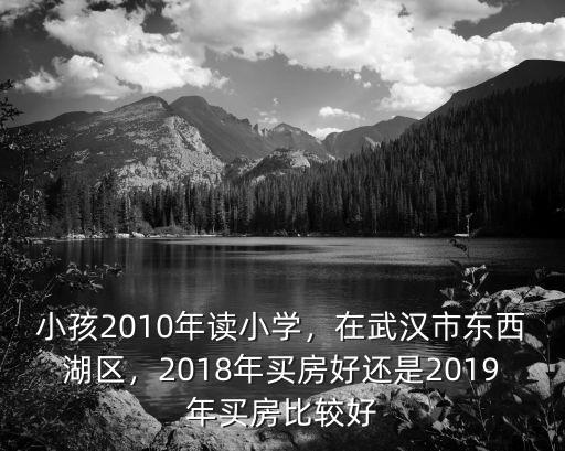 武漢市東西湖小學怎么樣,小孩2010年讀小學