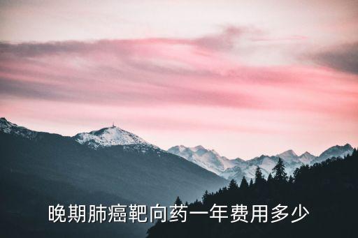 安徽肺癌靶向藥醫保報銷比例分別是多少,肺癌靶向藥的費用是多少