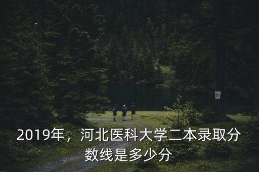 河北醫大多少分能進去,2019多少分能考上