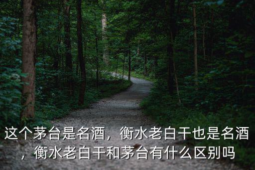 這個(gè)茅臺(tái)是名酒，衡水老白干也是名酒，衡水老白干和茅臺(tái)有什么區(qū)別嗎