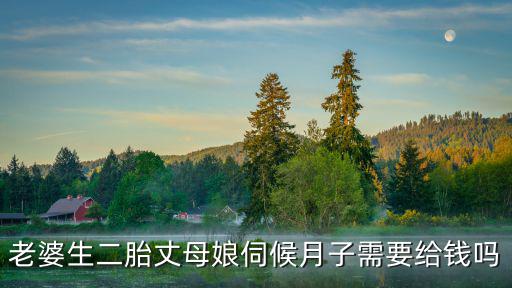 邢臺閨女生孩子一般伺候嗎給多少錢,一般家庭應該給多少