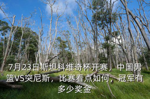 亳州杯冠軍獎(jiǎng)金有多少,冠軍有多少獎(jiǎng)金