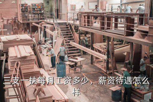 蕪湖三支一扶到手工資多少,三支一扶待遇怎么樣