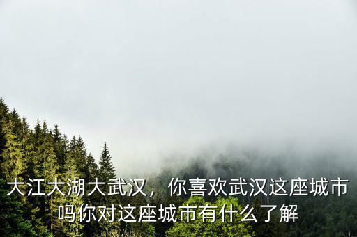 你會(huì)怎么評(píng)價(jià)武漢這座城市,你喜歡武漢這座城市嗎