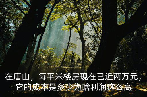 在唐山，每平米樓房現(xiàn)在已近兩萬元，它的成本是多少為啥利潤這么高