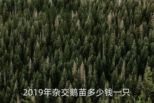宣城皖西鵝苗多少錢一只,一只鵝有多少利潤(rùn)