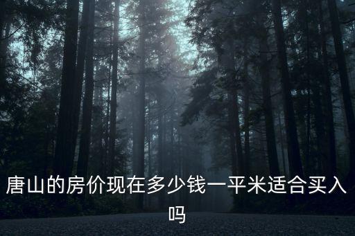 唐山的房價現在多少錢一平米適合買入嗎