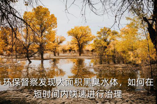 黃岡黑臭水體怎么處理,農村黑臭水體如何治理