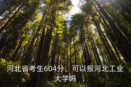 河北工業(yè)大學各科要考多少分,可以報河北工業(yè)大學嗎