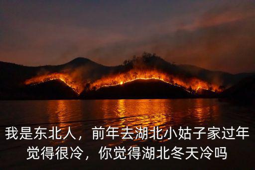 我是東北人，前年去湖北小姑子家過(guò)年覺(jué)得很冷，你覺(jué)得湖北冬天冷嗎