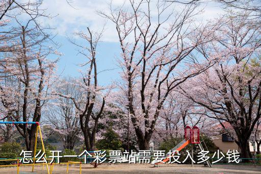 怎么開一個彩票站需要投入多少錢
