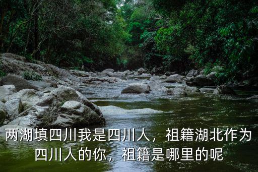 四川人是哪里的后裔,祖籍是哪里的呢