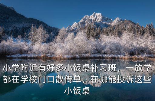 六安小學生參加小飯桌有多少人,在哪能投訴這些小飯桌