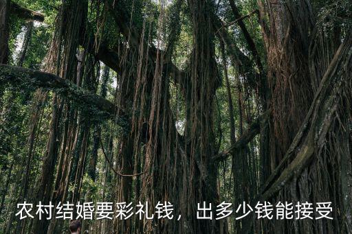 保定清苑農(nóng)村彩禮多少錢,農(nóng)村結(jié)婚要彩禮錢