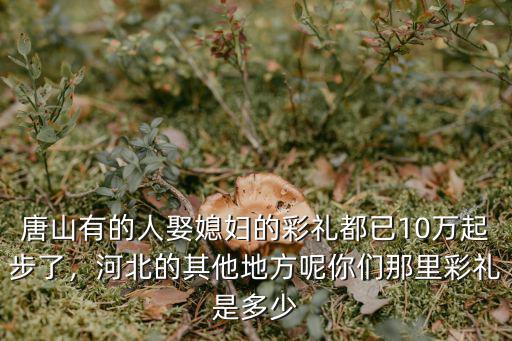 唐山有的人娶媳婦的彩禮都已10萬起步了，河北的其他地方呢你們那里彩禮是多少