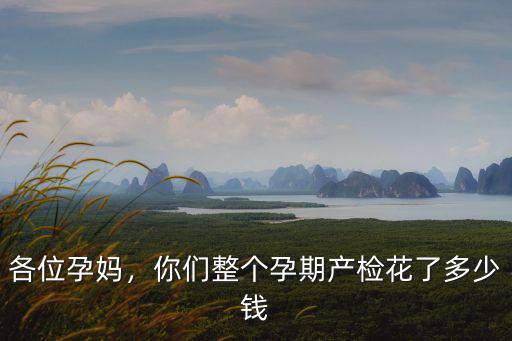 各位孕媽，你們整個孕期產檢花了多少錢