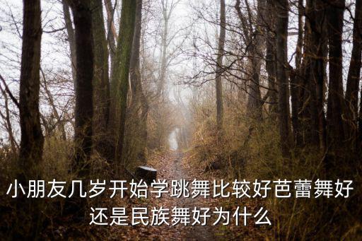 小朋友幾歲開(kāi)始學(xué)跳舞比較好芭蕾舞好還是民族舞好為什么