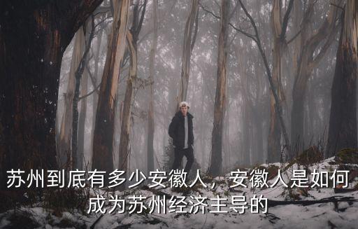 蘇州到底有多少安徽人，安徽人是如何成為蘇州經(jīng)濟(jì)主導(dǎo)的