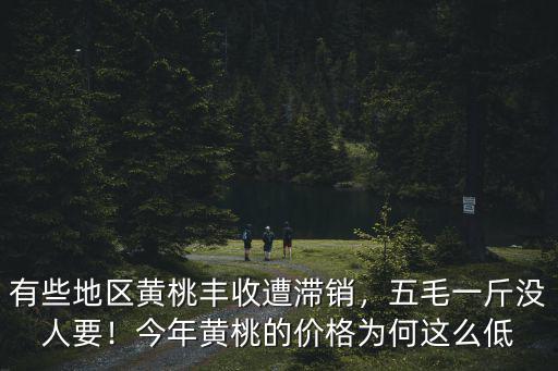 邢臺黃桃批發多少錢一斤,黃桃的價格現在多少錢一斤
