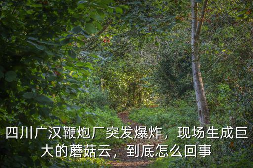 四川廣漢鞭炮廠突發爆炸，現場生成巨大的蘑菇云，到底怎么回事