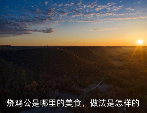 瀘州哪里燒雞公好吃,燒雞是公雞好吃還是母雞好吃