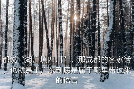 都說“湖廣填四川”，那成都的客家話，也就是土廣東到底是屬于哪里帶過來的語言