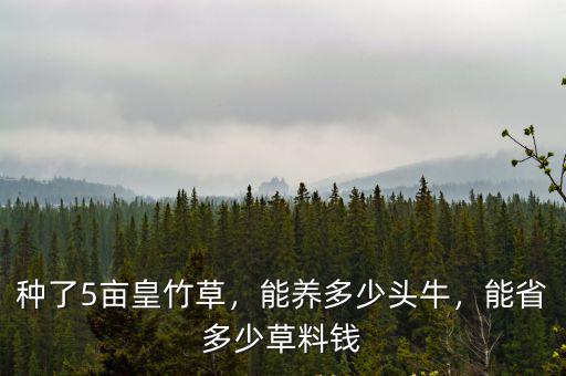 阜陽草料多少錢一噸,能省多少草料錢