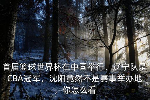 首屆籃球世界杯在中國舉行，遼寧隊是CBA冠軍，沈陽竟然不是賽事舉辦地，你怎么看