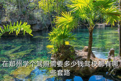 鄭州聾人駕校在哪里,在鄭州學(xué)個駕照需要多少錢