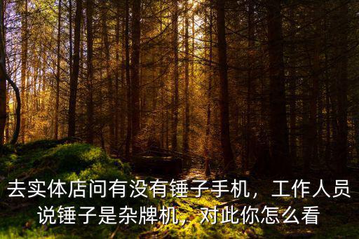 宜賓錘子手機實體店哪里有,去實體店問有沒有錘子手機