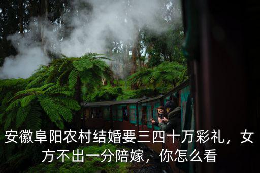 安徽阜陽農(nóng)村結(jié)婚要三四十萬彩禮，女方不出一分陪嫁，你怎么看