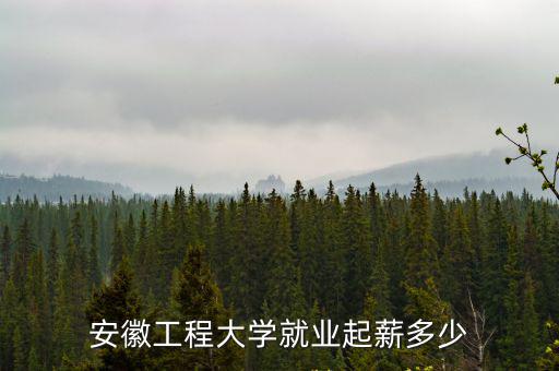 安徽工程大學就業起薪多少