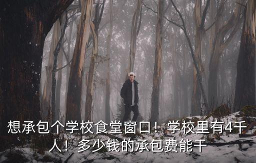 想承包個(gè)學(xué)校食堂窗口！學(xué)校里有4千人！多少錢的承包費(fèi)能干