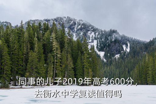 在衡水中學復讀一年費用多少,高三復讀一年多少錢