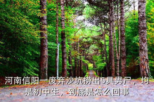 河南信陽(yáng)一廢棄沙坑撈出5具男尸，均是初中生，到底是怎么回事