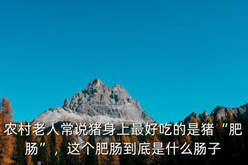 農村老人常說豬身上最好吃的是豬“肥腸”，這個肥腸到底是什么腸子