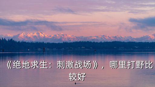 《絕地求生：刺激戰(zhàn)場》，哪里打野比較好