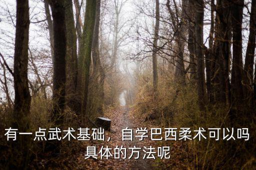 成都哪里可學巴西柔術,自學巴西柔術可以嗎
