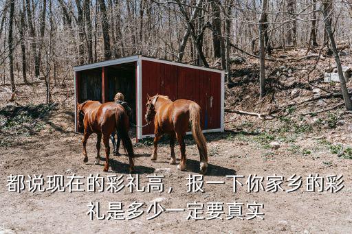 都說現在的彩禮高，報一下你家鄉的彩禮是多少一定要真實