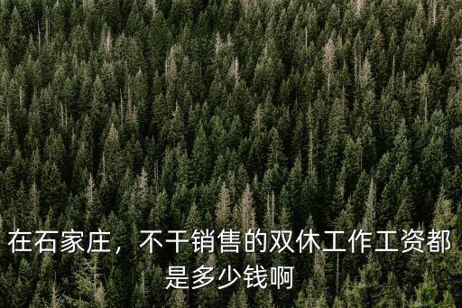 在石家莊，不干銷售的雙休工作工資都是多少錢(qián)啊