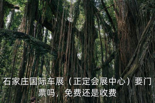 石家莊國博車展門票多少錢,2021石家莊車展