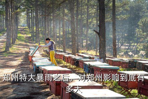 鄭州暴雨致多少人死,鄭州暴雨失蹤幾十人