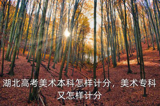湖北省美術生高考總分怎么算,湖北高考美術本科怎樣計分