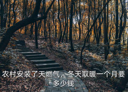 河北天然氣采暖多少錢一方,冬天取暖一個月要多少錢