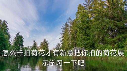 商丘哪里有拍荷花,怎么樣拍荷花才有新意